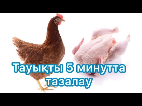 Бейне: Тауықты қалай жұлуға болады