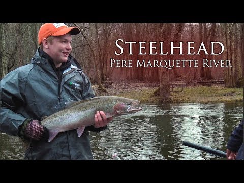Steelhead on the Pere Marquette River