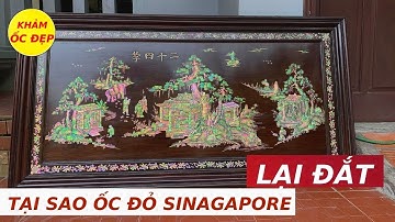 Tại Sao Đồ Gỗ Khảm Ốc Đỏ Singapore Lại Đắt Hơn Đồ Gỗ Khảm Ốc Indo , Nhật Bản | Khảm Ốc Đẹp