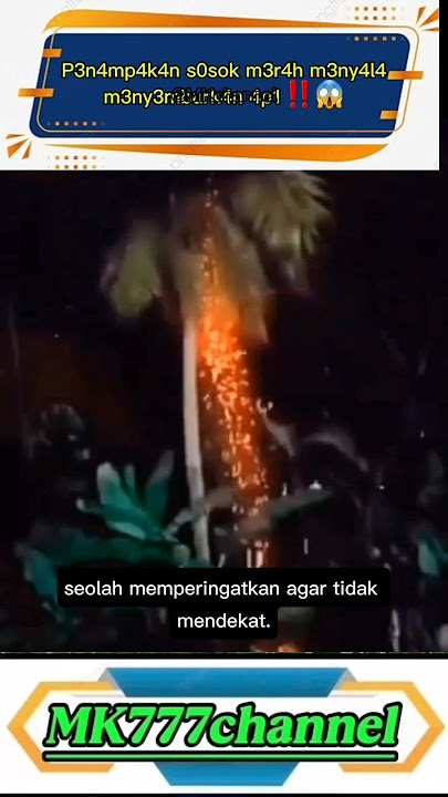 p3n4mp4k4n s0sok yang m3ny3mburk4n 4p1‼️😱#viral #video #horror #shorts