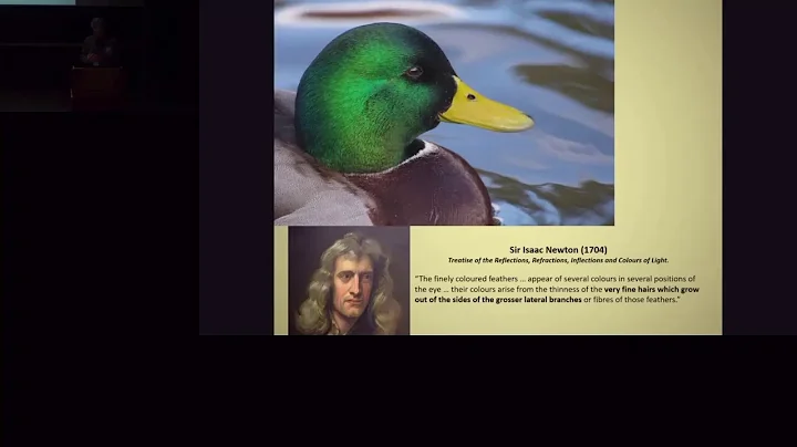 Dr Stephen Pringle