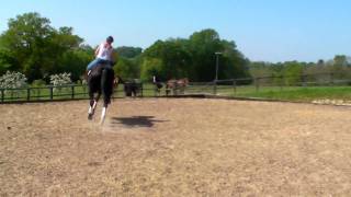 TUTTI FLAT WORK