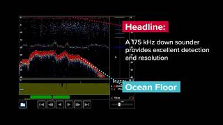 The Mantis Net Sounder