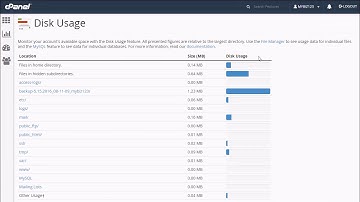 How to use the Disk Space Usage tool in cPanel?
