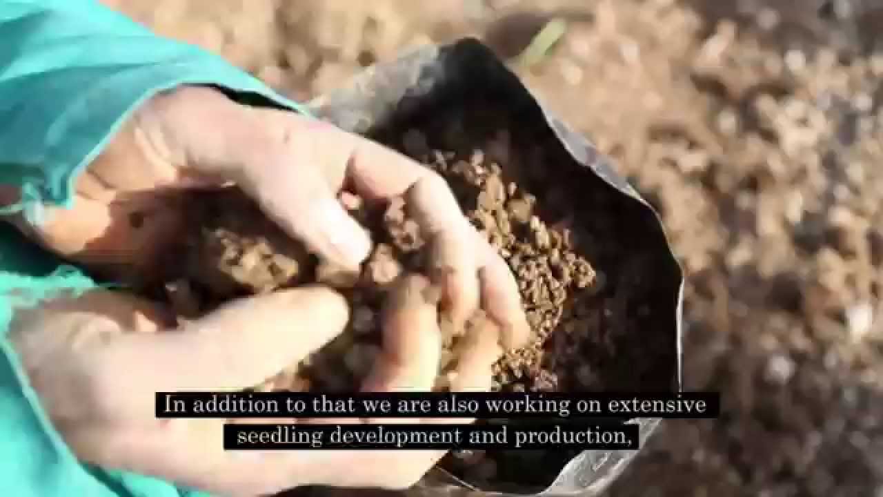 Aries Agro Industry Company Profile