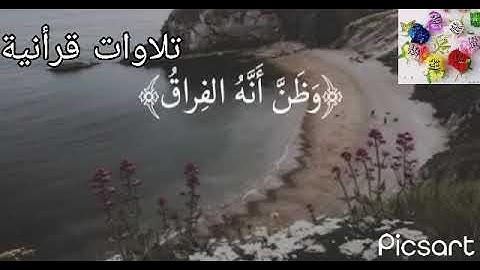 حالات وتس اب ماهر المعيقلي من سورة القيامه