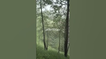 #سورة_الإخلاص #ikhlas #القرآن_الكريم #egzonibrahimi #tilawatequran