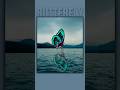 Water Reflection with Butterfly - Canva Design Hacks #design #animation @canva @Shorts