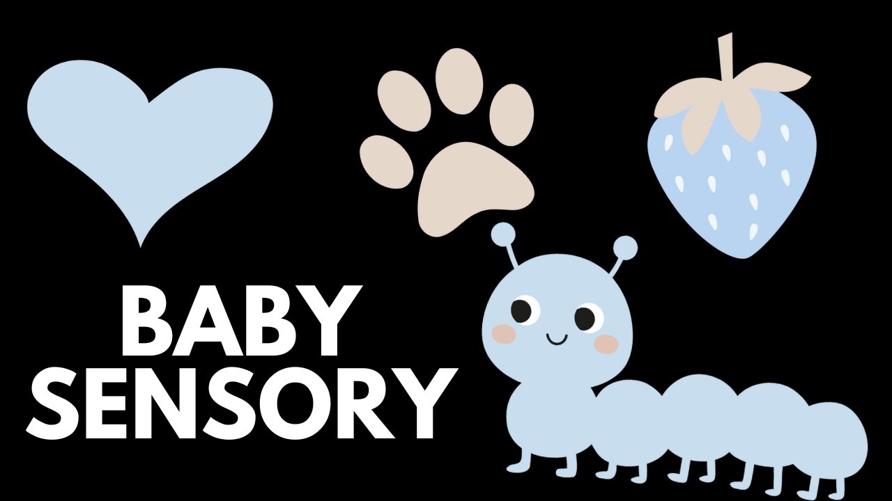 Baby Sensory Video 🐾  | Aesthetic | Calm Music & Visuals for Babies | 1 HOUR