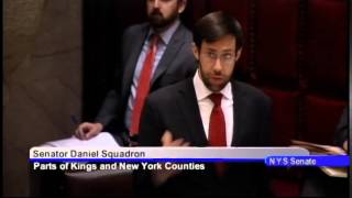 Senator Daniel Squadron speaks on S.2142