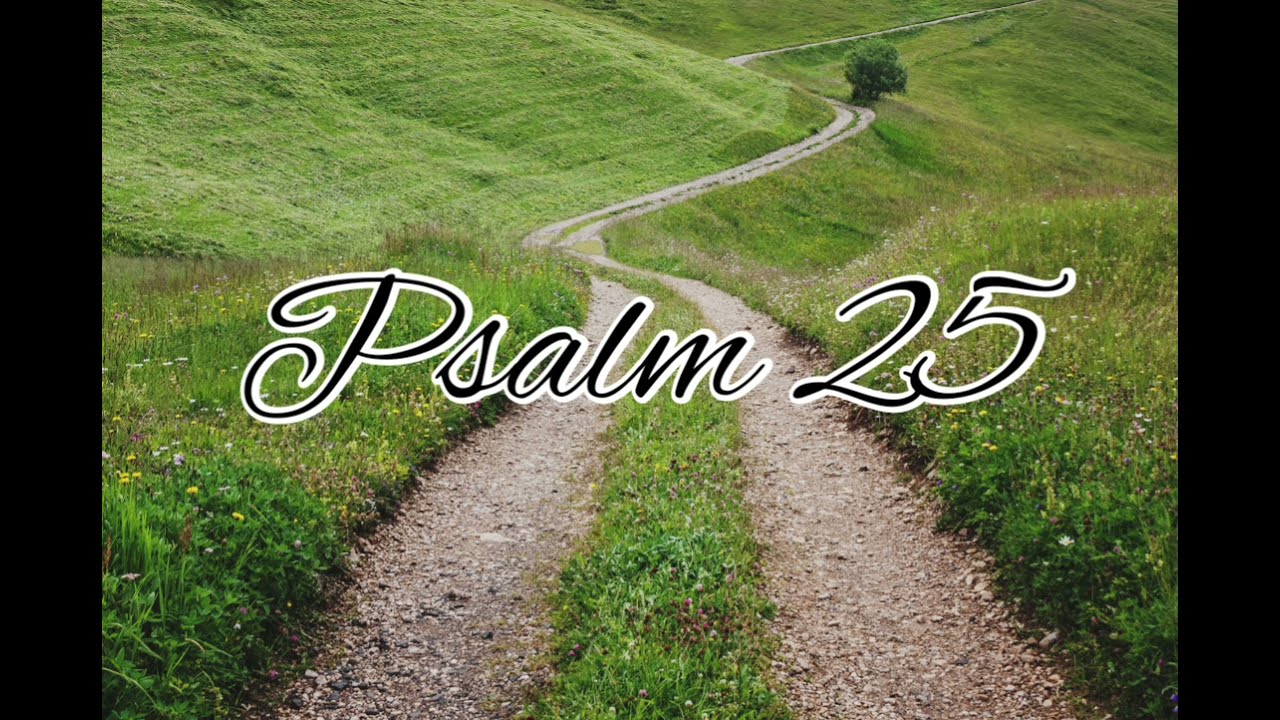 Psalm 25 NLT Audiovisual YouTube Psalm 25 nlt audiovisual youtube