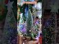 Christmas Decoration Items Wholesale Market in Delhi | Cheapest Christmas Items Wholesaler