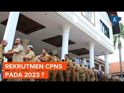 Benarkah Akan Dibuka Rekrutmen CPNS pada 2023? Ini Penjelasan Kemenpan RB