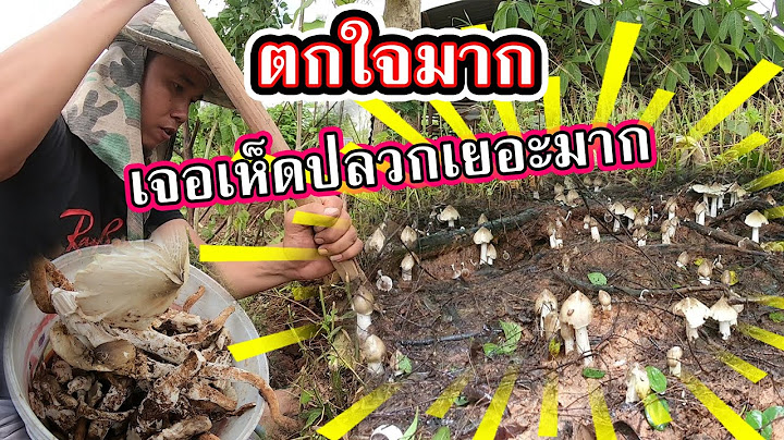 ยิ่งกว่าถูกหวย..เจอเห็ดปลวกแบบนี้