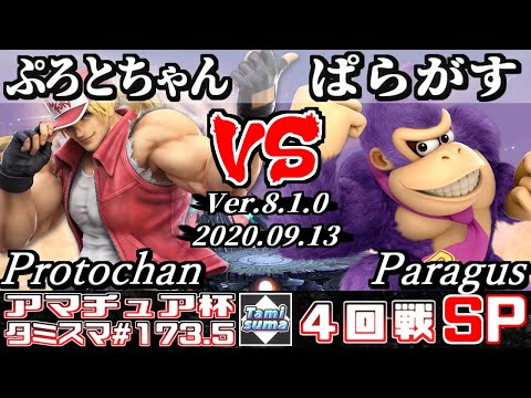 【スマブラSP】タミスマ#173.5 4回戦 ぷろとちゃん(テリー) VS ぱらがす(ドンキーコング) - オンライン大会