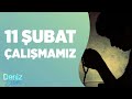 11 Şubat Çalışmamız (Saat 21:30&#39;da başlıyoruz) | Deniz Erten