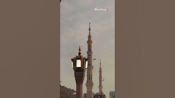#سورة_الأحزاب| مَّا كَانَ مُحَمَّدٌ أَبَا أَحَدٍ مِّن رِّجَالِكُمْ وَلَٰكِن رَّسُولَ اللَّهِ | #قرآن