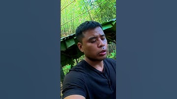 Rừng nhiệt đới, làm chòi, nấu ăn trong rừng | Di Hướng Nội