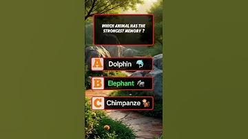 Can you get 5/5?#englishquiz #testandlearn #quiz #quizchallenge #mindbendingquiz #quiztime