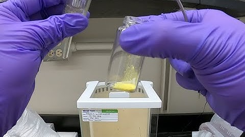 Experiment #5, Synthesis and Reactivity of Vaska