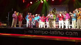 Angélique Kidjo (feat. Les Pistons) @ Tempo Latino 2018 (binaural: wear headphones)