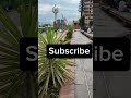 Addis Ababa, piassa cinma Ethiopia#shortsviral #shortvideo #shoryoutube