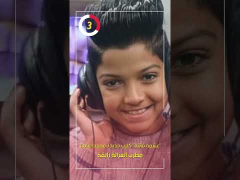 عشمه قاتله كليب جديد ل محمد أسامة مطرب الغزالة رايقة