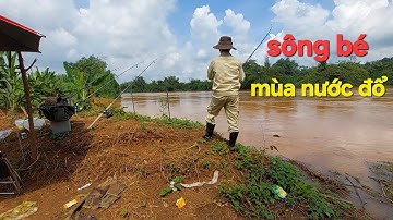 Câu cá Sông Bé Mùa Nước Đổ Bãi câu Tuyệt đẹp...