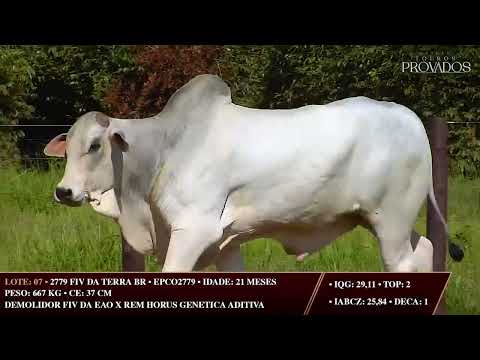 LOTE 07   EPCO 2779