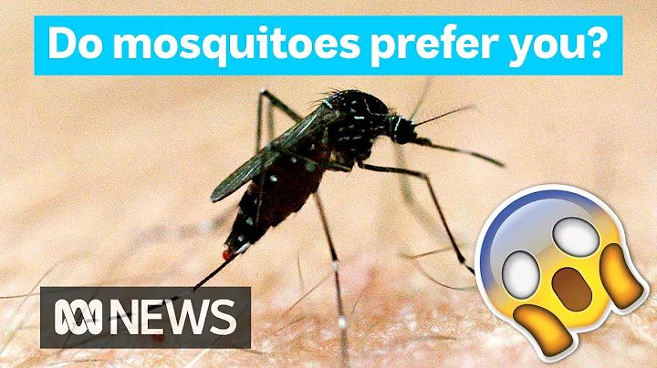 Why mosquitoes bite some people more than others | Did You Know? - DayDayNews