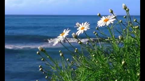 097 সূরা কদর || Al Qadr | The Night of Decree | سورة القدر | আল কোরআন বাংলা অনুবাদ সহ | bangla quran