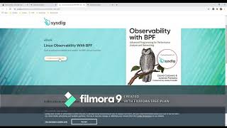 Virtual Skill Up Days on DevSecOps By DevOps Institute