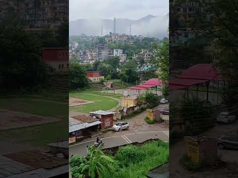 #viral #love #trending #weather #funny #timepass