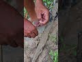 Survival Skill show smart idea and useful in wild how to reused bottle #ideas #lifehacks