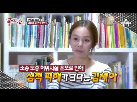 탤런트 김세아, 불륜의 댓가로 피소된 사건의 전말은? | 풍문으로 들었쇼