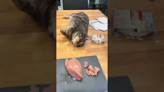 Cat Tries to Steal Chicken Off Cutting Board