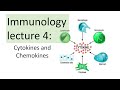 Immunology Lecture 4 | Cytokines and Chemokines | Toll like receptor signaling NFkB