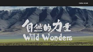 Wild Wonders Trailer | Sky UK Channel 192