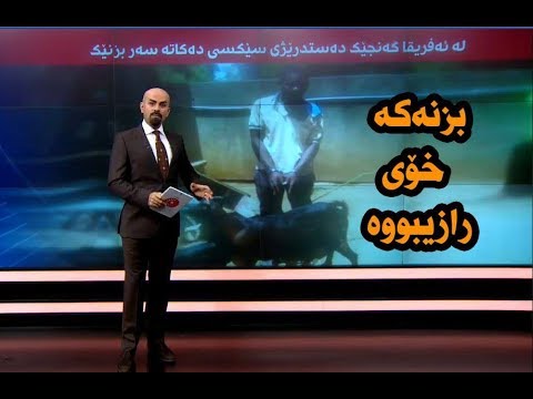 زۆر بەهێزە شاهۆ باسی ئەو کوڕە دەکات کە سێکسی لەگەڵ بزن کردووە