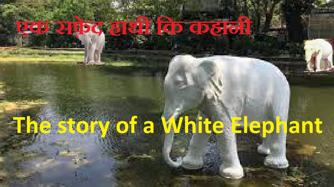 The White Elephant YouTube