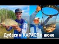 Дубасим карася в жаркий июнь !!!