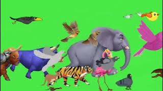 Green Screen – Birds and Animals Stampede Escaping Distant Forest Fire