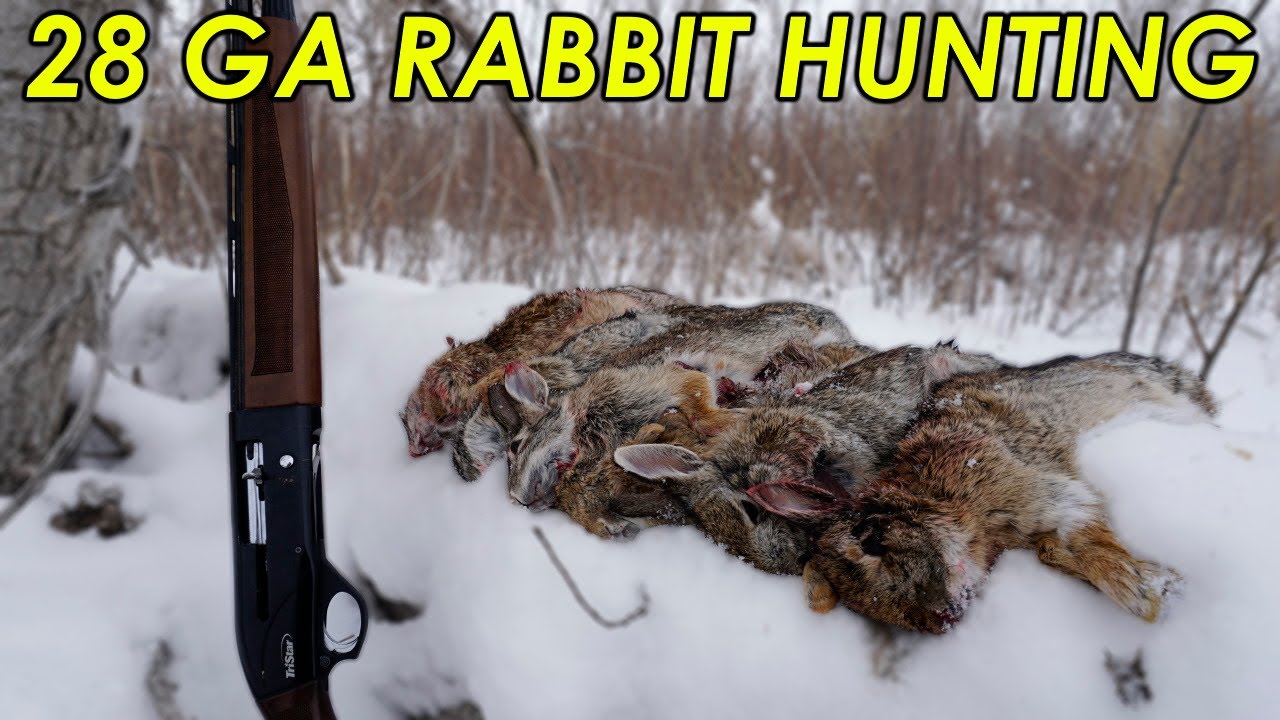 Hunting FRIGID Weather for Rabbits (WITHOUT A DOG) | 28 GAUGE Public ...