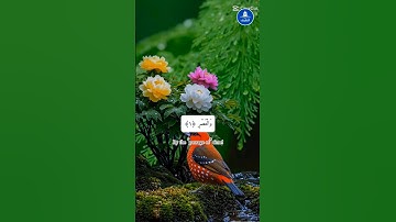 سورة العصر #الله #القرآن #فيروسي #فيديو فيروسي #فيديو فيروسي على يوتيوب #فيديو رائج #سورة العصر