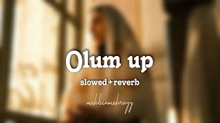 olam up slowed+reverb sulaikha manzil