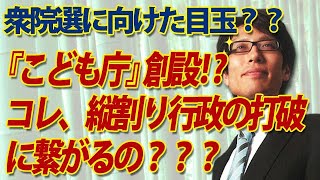 こども庁創設は「縦割り行政の打破」に繋がるのか！？｜竹田恒泰チャンネル2