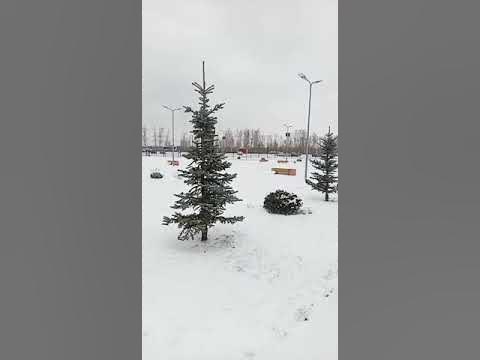 Басеин! - YouTube