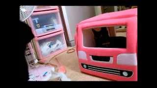 たなみちゃんピンクの車は注目の的。 The pink car is a favorite of cats.