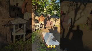 Kedi Arayışındaki Kışkırtma 😂 Resimi