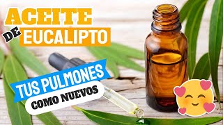 BENEFICIOS DEL ACEITE DE EUCALIPTO: PARA AFECCIONES RESPIRATORIAS, Y HASTA EL CABELLO